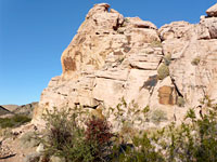 Bushes below cliffs