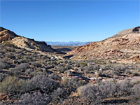 The view north
