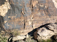 Varied petroglyphs