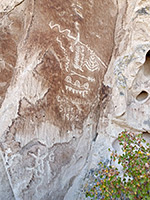 Corn and agave petroglyphs