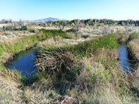 Stream from Crystal Spring