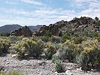 Sagebrush beside Echo Rock