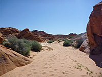 Wide, sandy wash