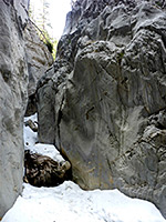 Upper fork narrows