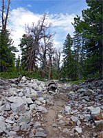 Boulders beside the path