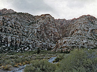 Spring Canyon