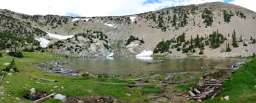 Shoreline of Johnson Lake