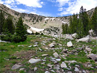 Boulders and trees