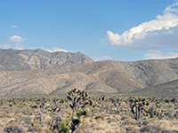 Desert south of NV 157