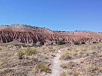 Juniper Draw Trail