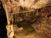 Pool in Lehman Caves