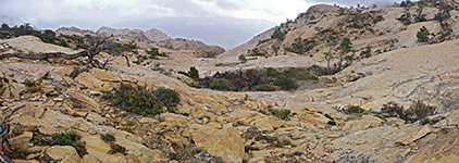 Red Rock Canyon National Conservation Area