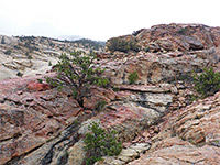 Reddish rocks