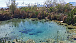 Shallow water in Longstreet Spring