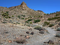 Peak in the McCullough Range