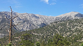 Mount Charleston