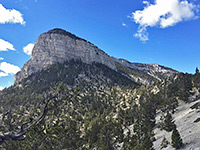 Spring Mountains National Recreation Area