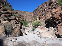 Petroglyph Canyon Trail