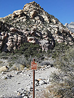 Petroglyph Wall Trail