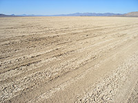 Black Rock Playa