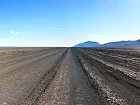 Seasonal road on the playa