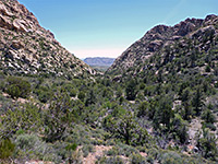 Red Rock Wash