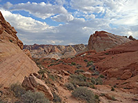 Multicolored rocks