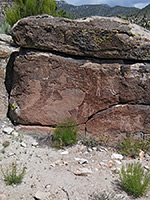 Petroglyphs on a dark boulder