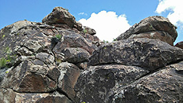 Many petroglyphs