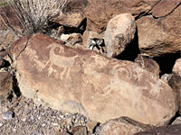 Bighorn sheep petroglyphs