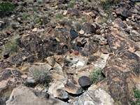 Boulder-covered slope