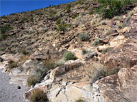 The main petroglyph area