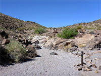 Upper trail junction