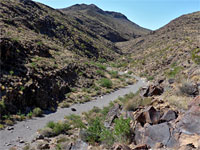 View up the canyon