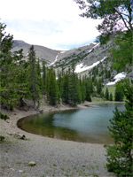 Stony shoreline