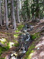 Outlet stream