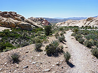 Path along a wash