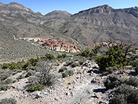 Patch of red rocks