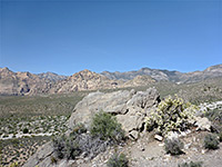 Limestone outcrop