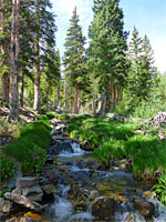 Upper section of the creek