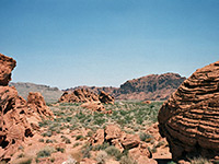 Petrified sand dunes