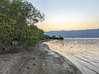 Shoreline