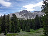 Wheeler Peak