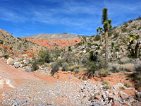 Red rocks