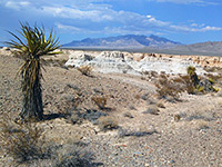 Lake Mead National Recreation Area