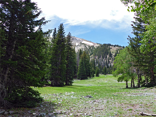 Long, level meadow