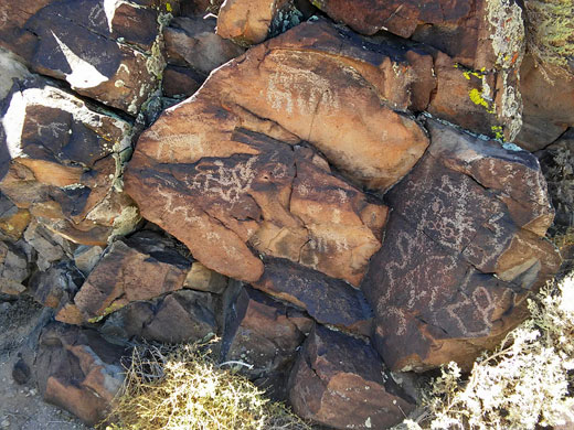 Cane Site petroglyphs