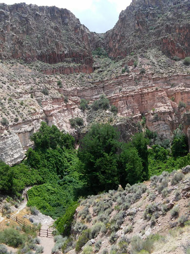 Canyon Overlook Trail