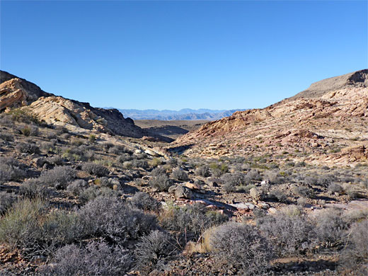 The view north