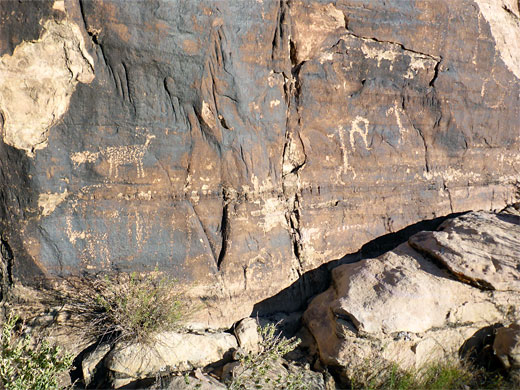 Varied petroglyphs